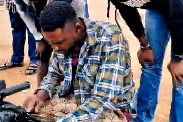 Lombre-de-la-vengeance