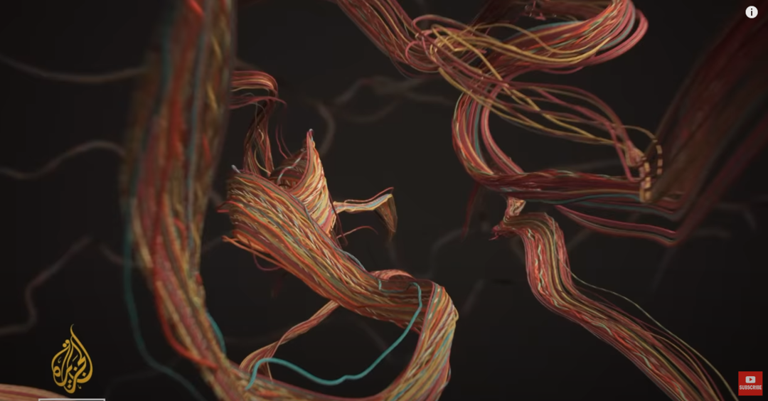 How to sell peanuts with style in Cameroon I Africa Direct Documentary